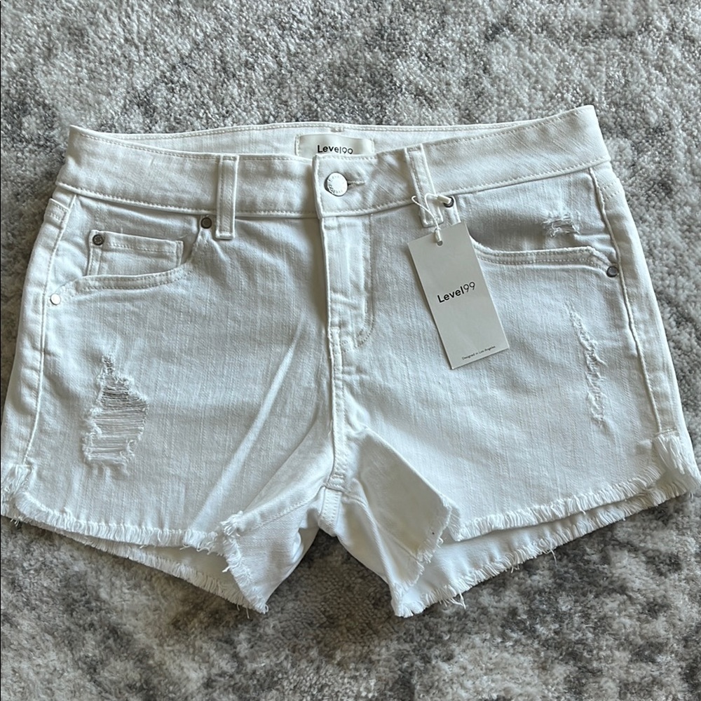 Level 99 Shorts